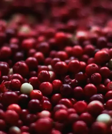 Organic Cranberry Extract